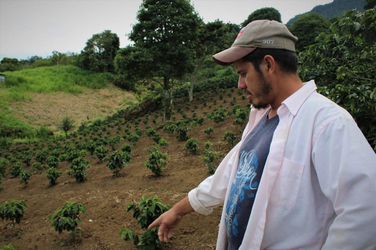 New Release Double Drop: Evin Moreno and Las Mercedes - Seven Seeds