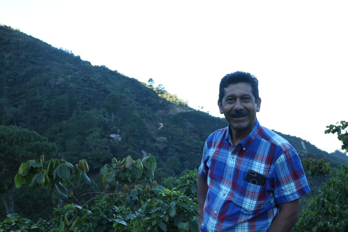New Release | Esperanza Pacamara, Guatemala - Seven Seeds