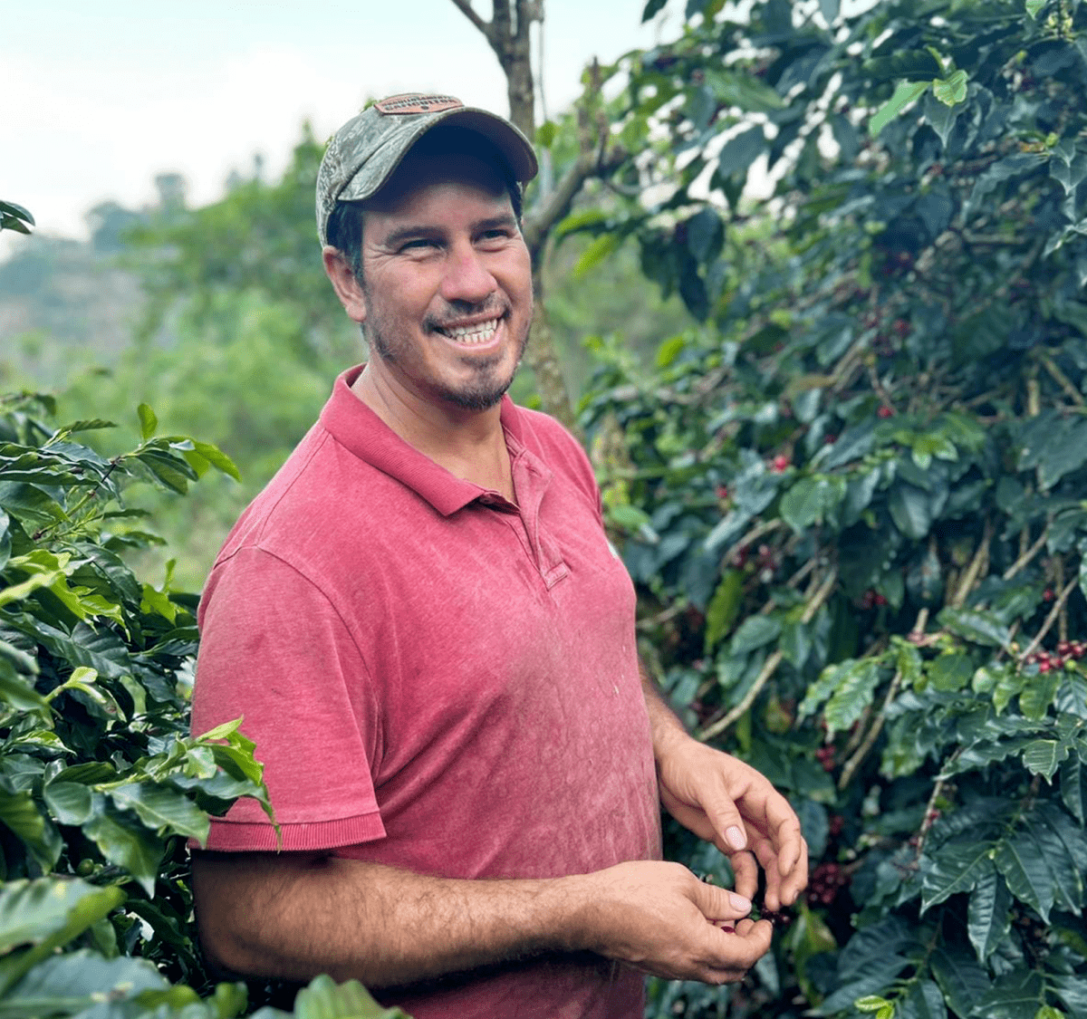 New Release | Evin Moreno, Geisha, Honduras - Seven Seeds