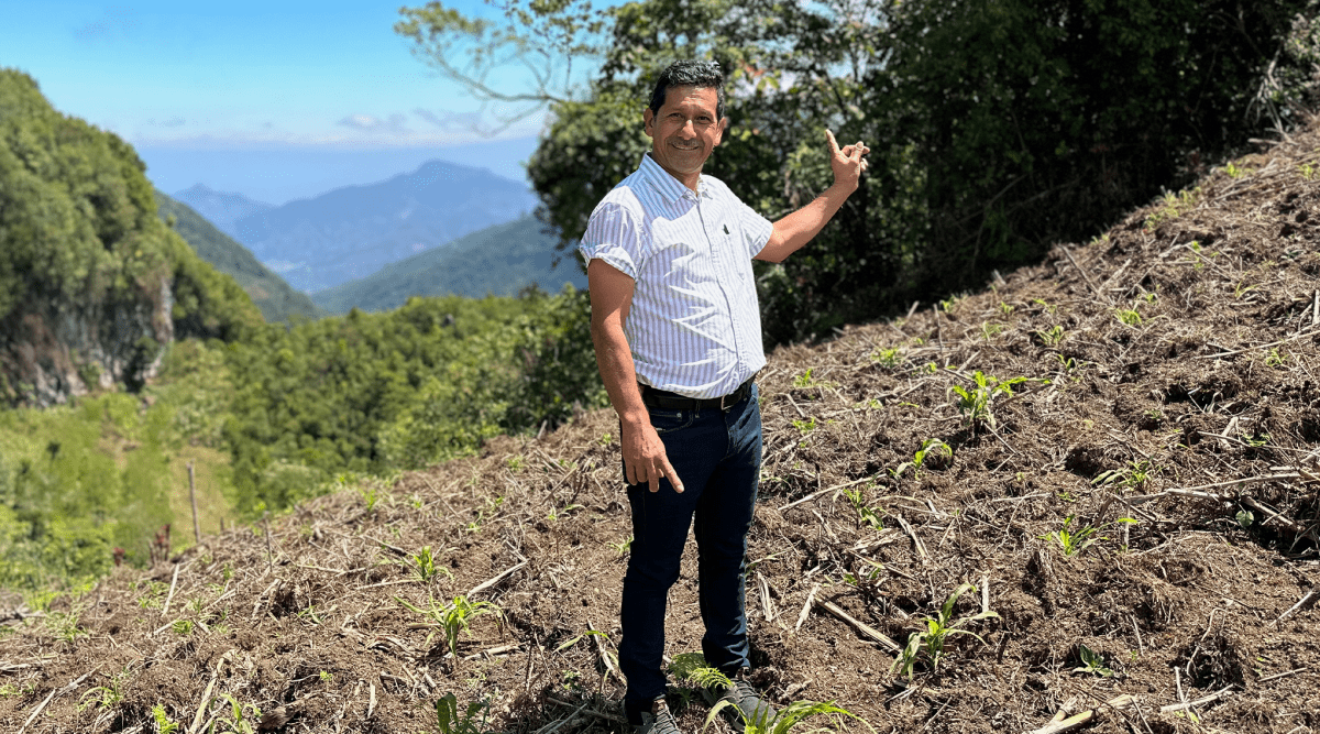 New Release | La Esperanza Special, Guatemala - Seven Seeds