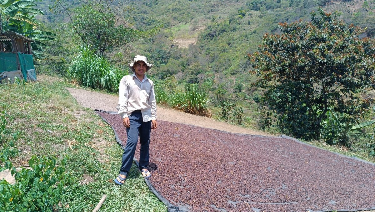 New Release | Lito Cubas Olivera - Seven Seeds
