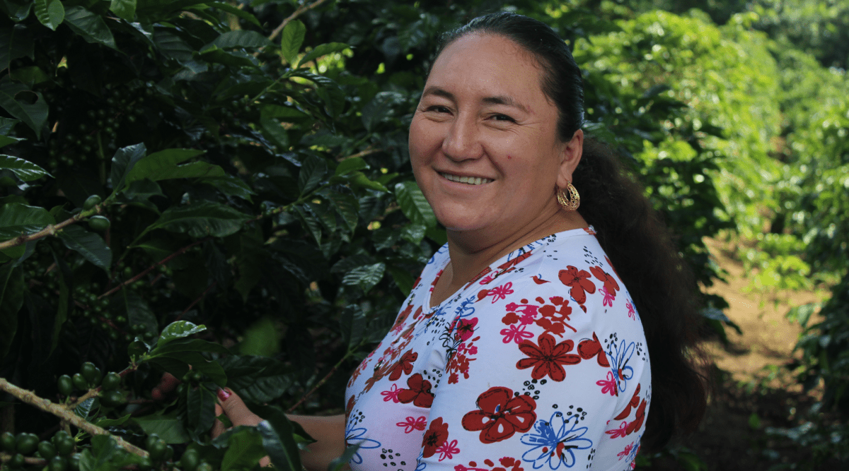 New Release | Maria Reyes, Honduras - Seven Seeds