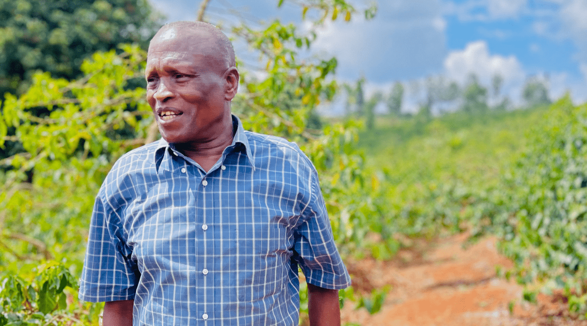 New Release | Mukunga Estate, Kenya - Seven Seeds