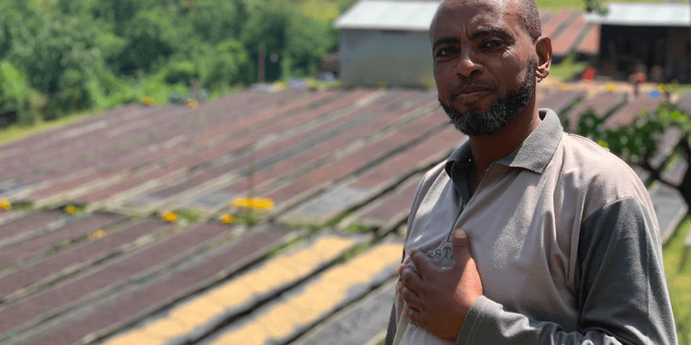 New Release: Mustefa Abalulessa, Ethiopia - Seven Seeds