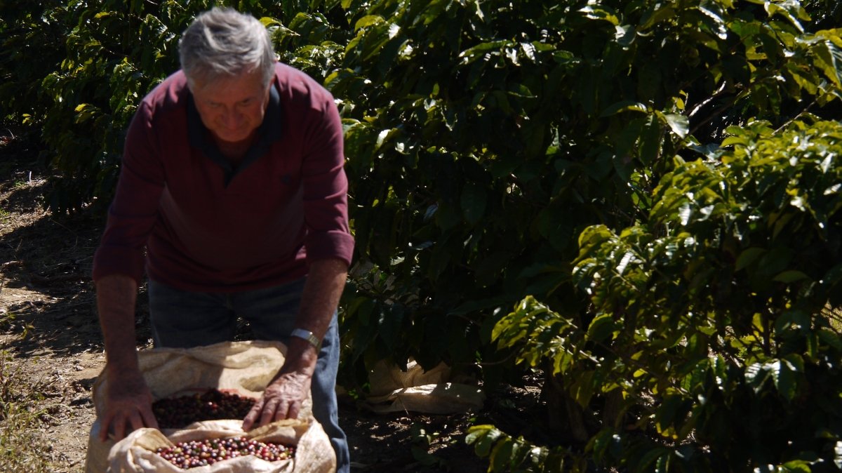 New Release | Ouro Verde Collection #6, Brazil - Seven Seeds