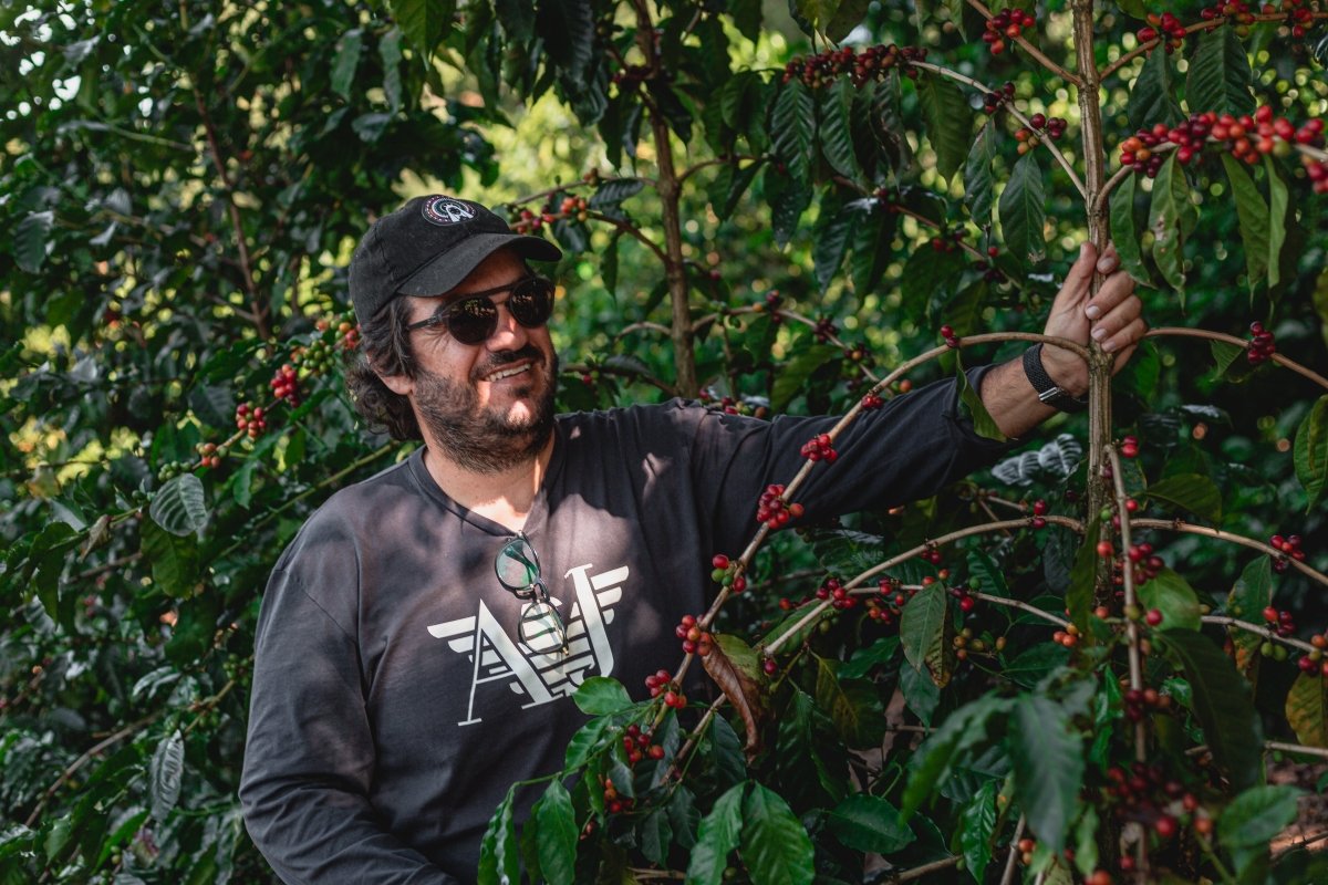 New Release | Santuario Sul, Brazil - Seven Seeds