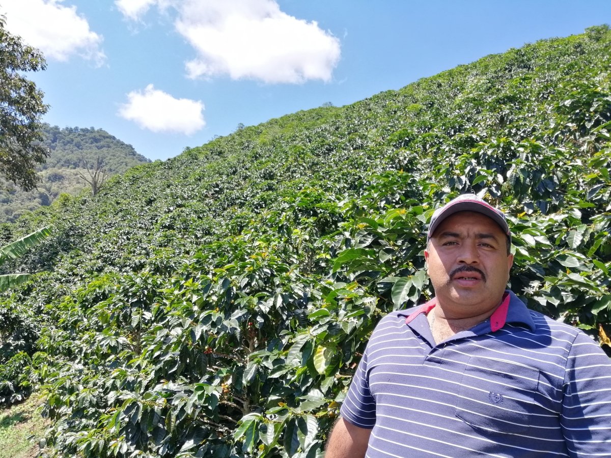 New Release | Willyan Zambrano, Colombia - Seven Seeds