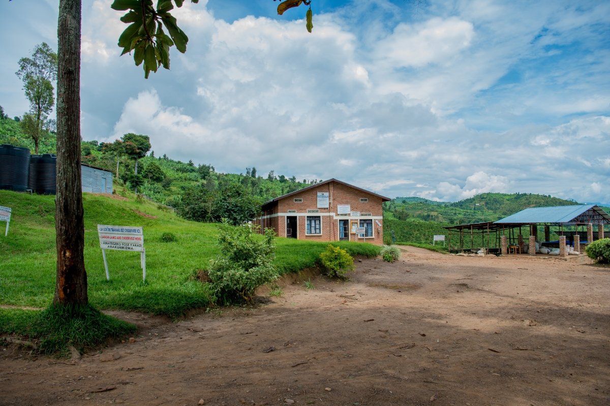 Seven Seeds Sourcing  |  Rwanda - Seven Seeds