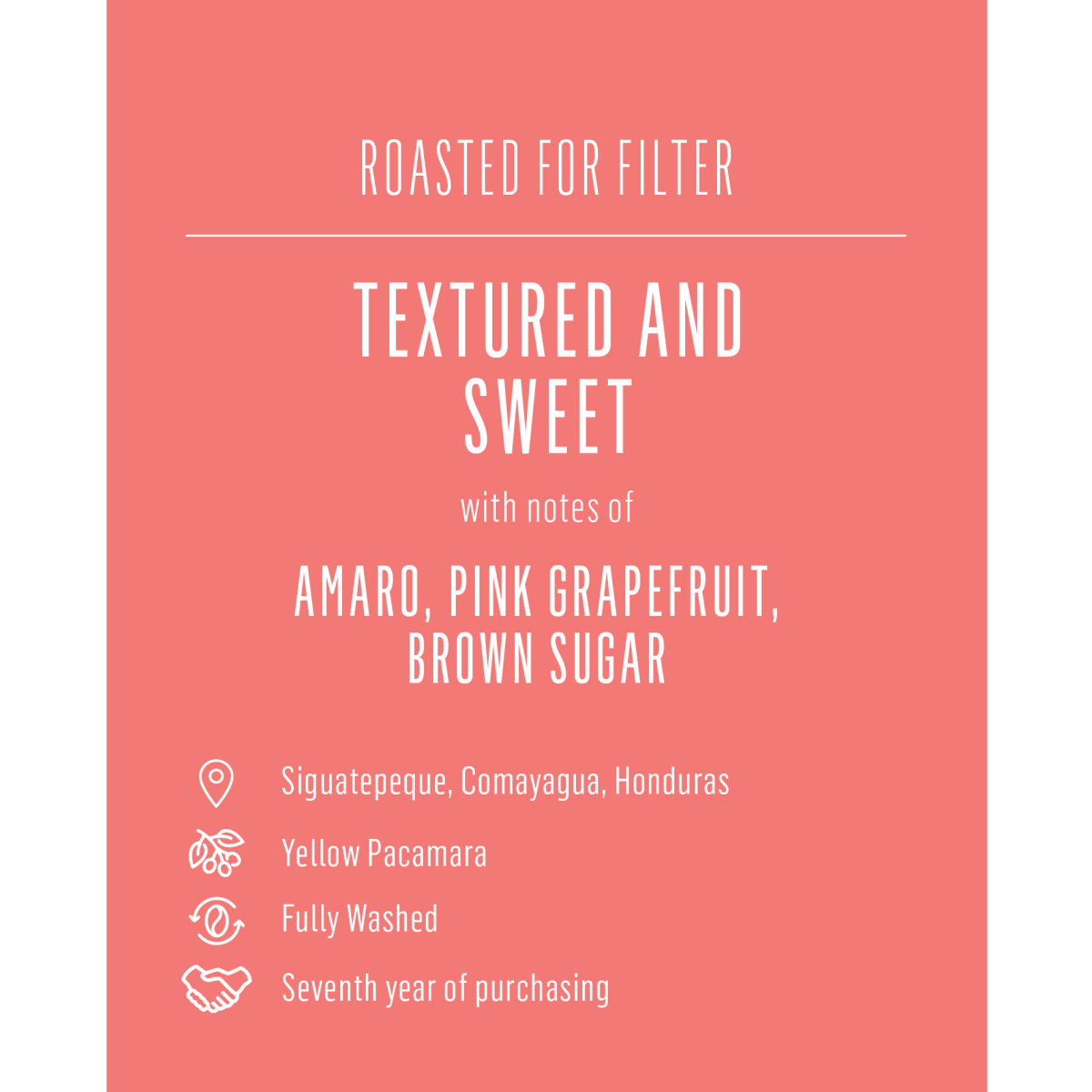 Santa Lucia Yellow Pacamara, Honduras - Seven Seeds
